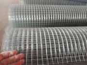 Welded Wire Mesh