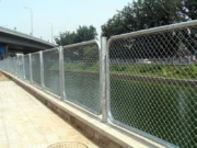 diamond mesh fence